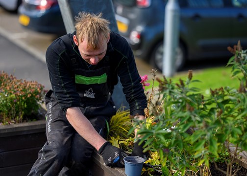 Flower Bed - Martin